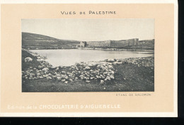 Vues De Palestine ---  Etang De Salomon - Palestine