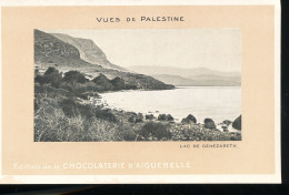 Vues De Palestine --- Lac De Genezareth - Palestine