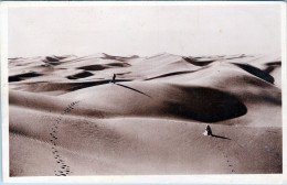 ALGERIA - EL OUED - Le Dune (Pista Dei Bordjs) - El-Oued