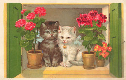 Chat * Cpa Illustrateur * Deux Chatons Sur Le Rebord De La Fenêtre * Cat Katze - Cats