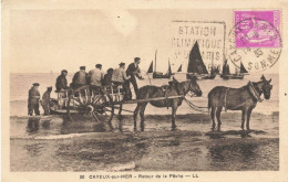 Cayeux Sur Mer * Le Retour De La Pêche * Attelage - Cayeux Sur Mer