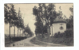 166    Diest  Steenweg Op Scherpenheuvel  Route De Montaigu  1929 - Diest