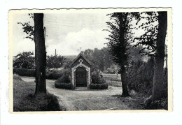 Dilbeek  De Kapel V De H. Alena   La Chapelle Ste-Alène 1961 - Dilbeek