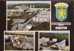 25-LE-GRAND-CHARMONT- LES FOUGERES MULTIVUES - Autres & Non Classés