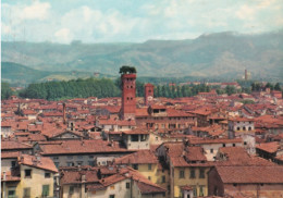Delcampe - Lucca - Panorama Con I Monti Di Garfagnana - Formato Grande Non Viaggiata – FE390 - Lucca