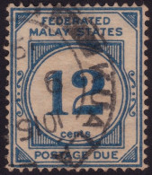 FEDERATED MALAY STATES FMS 1924 Postage Due 12c Sc#J6 USED @TD25 - Federated Malay States