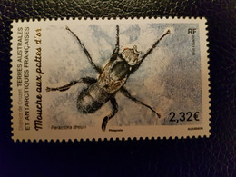 Fsat 2023 Taaf Antarctic Fly With Golden Feet Insect Mouche Aux Pattes Or  1v Mnh - Neufs