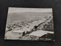 Cartolina 1963. S. Severa. Spiaggia. Panorama.   Condizioni Eccellenti. Viaggiata. - Panoramische Zichten, Meerdere Zichten