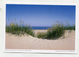 AK 145541 NETHERLANDS - Dünenlandschaft Bei Nies Auf Ameland - Ameland