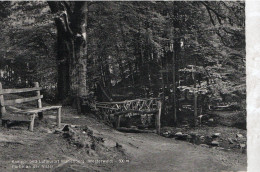 Kneipp - Und Luftkurort Marienberg ( Westerwald ) 500 M , Partie An Der Nister - Bad Marienberg