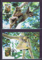 Brasilien, Brasil 1984: Michel 2052-2053 WWF Maxi Card Used, Gestempelt - Oblitérés