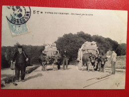 Cpa écrite En 1906, Destinataire Demeurant à Bergerac 24, Types Du Centre , En Haut De La Côte, Attelages De Boeufs - Limousin