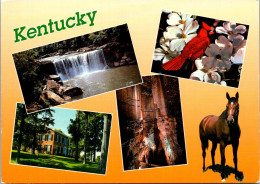 Kentucky Greetings With Multi View - Other & Unclassified