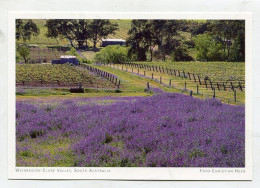 AK 145753 AUSTRALIA - South Australia - Weinregion Clare Valley - Autres & Non Classés