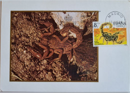 1979.. SPAIN.. MAXIMUM CARD.. Invertebrates - Tarjetas Máxima