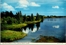 Canada Prince Edward Island Beutiful Coastline - Altri & Non Classificati