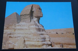 Giza - The Great Sphinx And Keops Pyramid - Sphinx