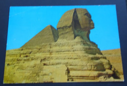 Giza - The Great Sphinx And The Pyramid Of Kephre - Sphynx