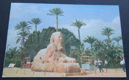 Sphynx Statue In Memphes - Sphinx