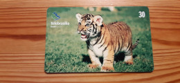 Phonecard Brazil - Tiger - Brasilien