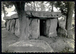 FRANCE - SAUMUR - Dolmen De Bagneux. ( Ed. Combier Imp. Macon Nº 20) Carte Postale - Dolmen & Menhirs