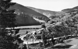 Villard De Lans * La Route Des Gorges De La Bourne - Villard-de-Lans