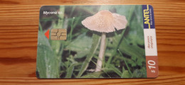 Phonecard Uruguay - Mushroom - Uruguay