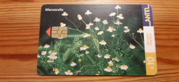 Phonecard Uruguay - Flower - Uruguay