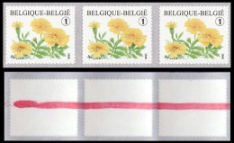 R113**(3824) - Tagètes Patula / Tagètes Patula - BELGIQUE / BELGIË / BELGIEN  - BUZIN - FIN DE ROULEAU / EINDE ROL - Coil Stamps