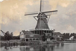 E620 - Leiden Molen De Herder Haarlemmerweg - Foto Ong 14x9.5cm - Molen - Moulin - Mill - Mühle - Leiden