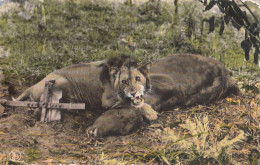BURUNDI - Trapped Lion - Imparudi Bujumbura - Circulated 1990 - Burundi