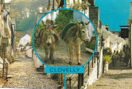 SCENES FROM CLOVELLY, DEVON, ENGLAND. UNUSED POSTCARD   Wp2 - Clovelly