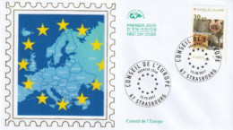2017_Envel. 1er Jour_fdc_soie_Conseil De L'Europe. (S171). PJ 67 Strasbourg 13/10/17. - 2010-2019