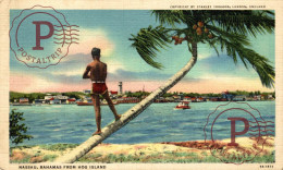 ANTILLAS / ANTILLES. BAHAMAS NASSAU FROM HOG ISLAND - Bahama's