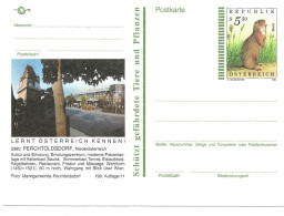 0556w: Bildpostkarte 2380 Perchtoldsdorf- Wehrturm, Jahrgang 1994, Ungelaufen - Perchtoldsdorf