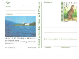 0556v: Bildpostkarte 9570 Ossiach, Carinthischer Sommer, Jahrgang 1994, Ungelaufen - Ossiachersee-Orte