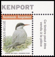 4306** - Sterne Arctique / Arctische Achtersteven / Arktisches Heck - BUZIN - RECOMMANDÉ / AANGETEKEND - Mouettes