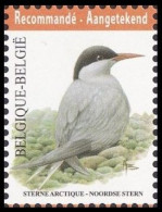 4306** - Sterne Arctique / Arctische Achtersteven / Arktisches Heck - BUZIN - RECOMMANDÉ / AANGETEKEND - Mouettes