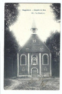 Buggenhout  -  Chapelle Du Bois - Buggenhout