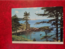 Carte GUERNSEY THE PINE FOREST - Guernsey