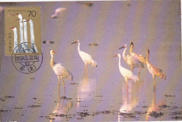 ANIMALS, BIRDS, WHITE CRANE, CM, MAXICARD, CARTES MAXIMUM, 1986, CHINA - Kranichvögel