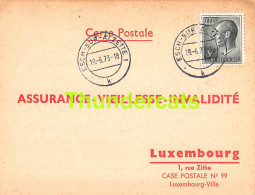 ASSURANCE VIEILLESSE INVALIDITE LUXEMBOURG 1973 GROF WOLFF ESCH SUR ALZETTE  - Brieven En Documenten