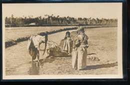 Algerie --- Laghouat --- Au Bord De L'Oued M'Zi - Laghouat