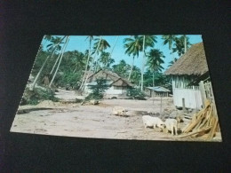 STORIA POSTALE MALESIA SINGAPORE AREA RURALE MAIALINI PIG - Malaysia