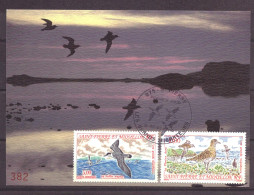 Saint-Pierre En Miquelon 654 & 655 FDC Birds Animals Nature (1993) - Maximumkarten