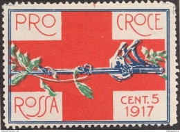 ERINNOFILO PRO CROCE ROSSA ANNO 1917 CENT. 5  RED CROSS VIGNETTE CINDERELLA WW1 WWI ITALY WITH GUMM - Militaria