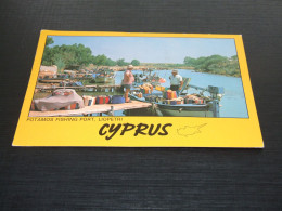 61304-          CYPRUS, POTAMOS, LIOPETRI - Chypre