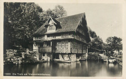 Switzerland Die Treib Am Vierwaldstattersee - Wald