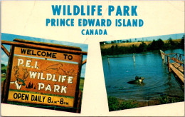 Canada Prince Edward Island Wildlife Park Near The Village Of North Rustico - Other & Unclassified