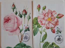 1989.. BELGIUM.. LOT OF 2 DOUBLE MAXIMUM CARDS..Roses..( Full Serie) - 1981-1990